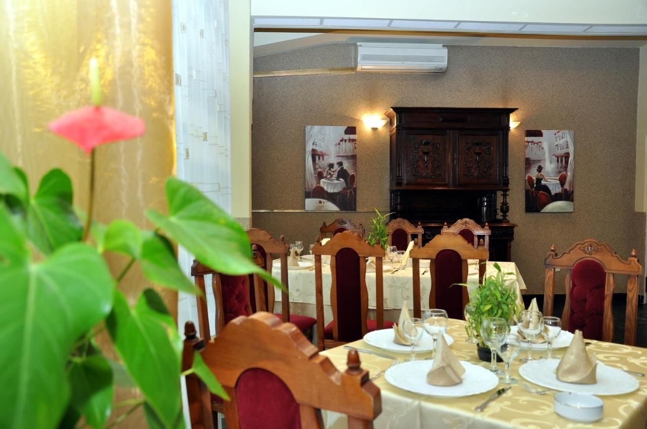 Отель Hotel Strelitia Тимишоара-18