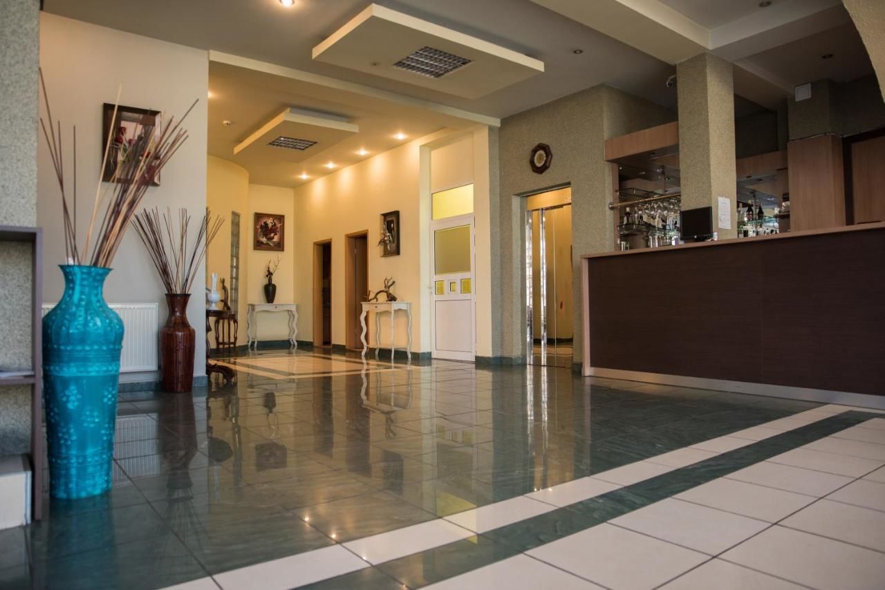 Отель Hotel Strelitia Тимишоара-19