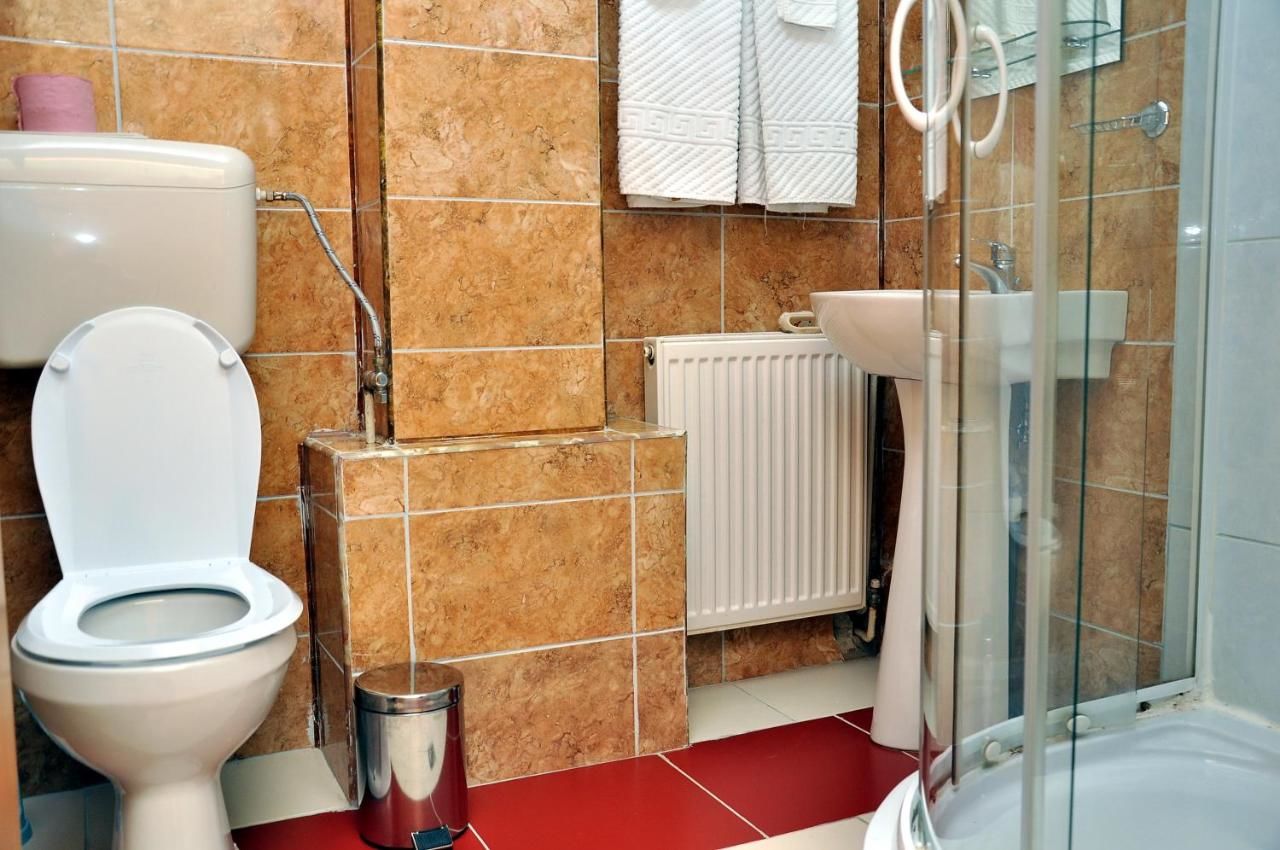 Отель Hotel Strelitia Тимишоара-22