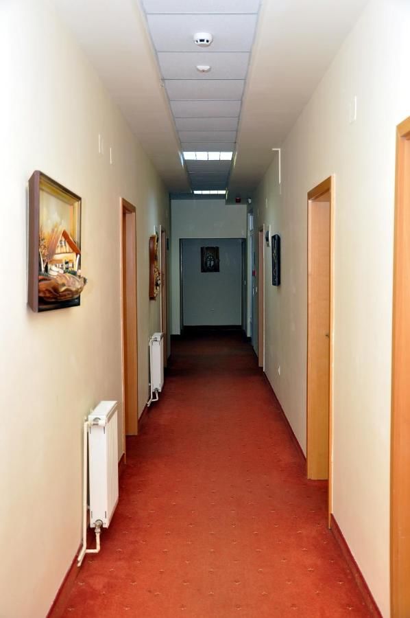 Отель Hotel Strelitia Тимишоара-26