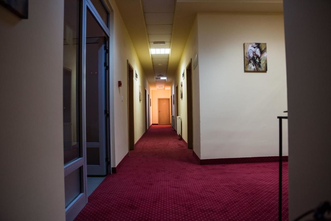 Отель Hotel Strelitia Тимишоара-30