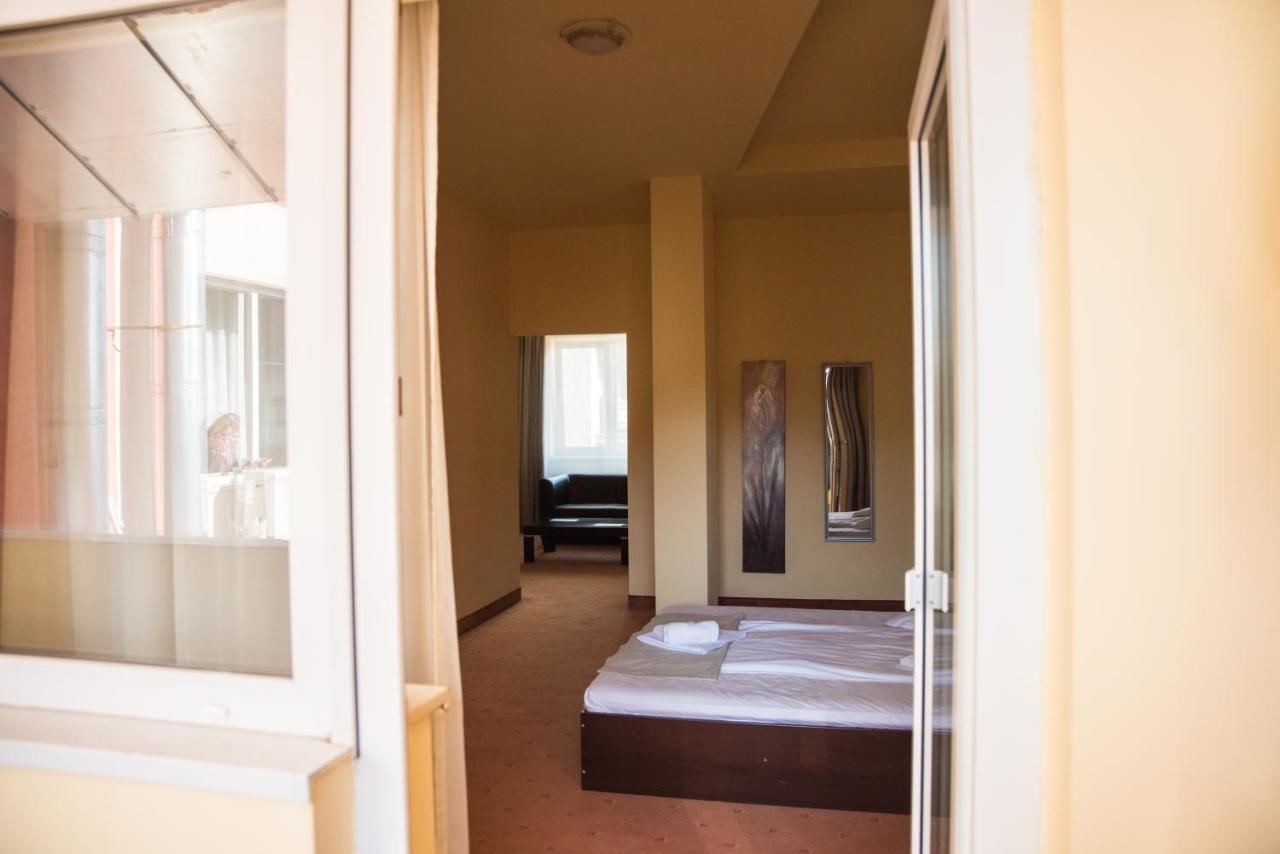 Отель Hotel Strelitia Тимишоара-34