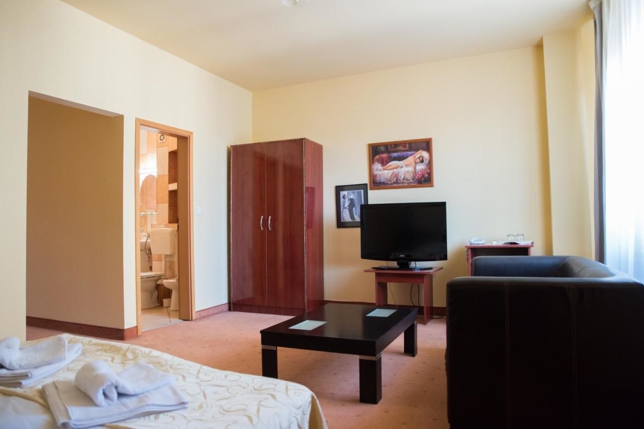 Отель Hotel Strelitia Тимишоара-35