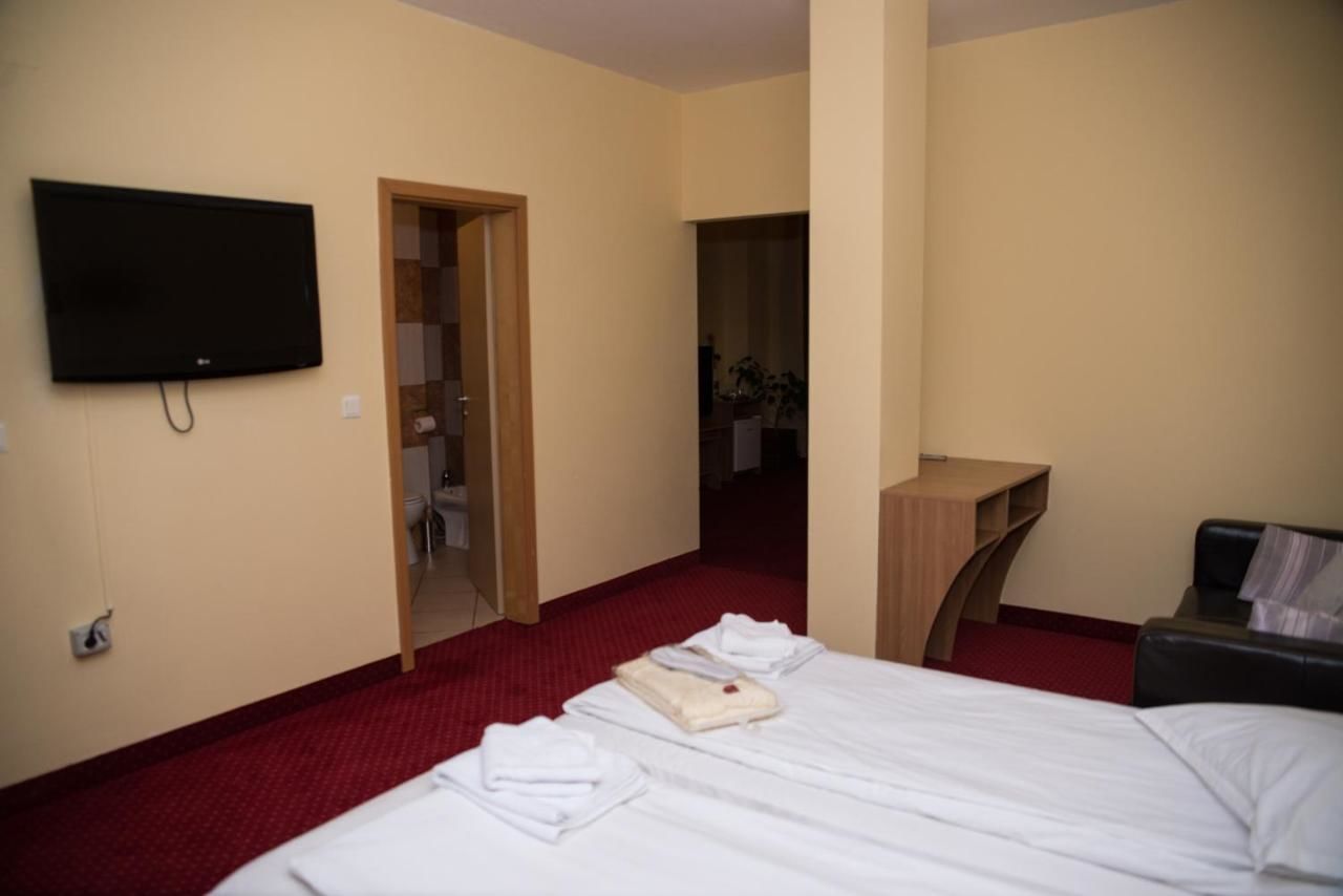 Отель Hotel Strelitia Тимишоара-40