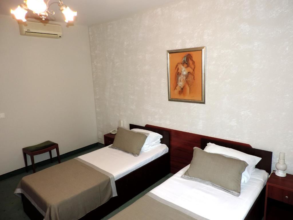 Отель Hotel Strelitia Тимишоара-52