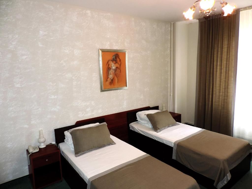 Отель Hotel Strelitia Тимишоара-53
