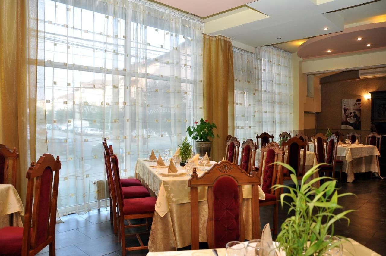 Отель Hotel Strelitia Тимишоара-12