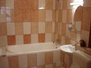 Отель Hotel Strelitia Тимишоара Полулюкс-1