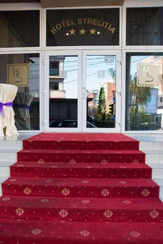 Отель Hotel Strelitia Тимишоара-1