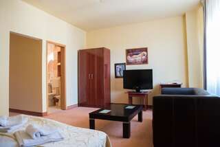 Отель Hotel Strelitia Тимишоара Полулюкс-2