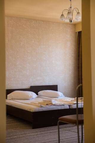 Отель Hotel Strelitia Тимишоара Полулюкс-3