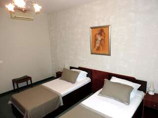 Отель Hotel Strelitia Тимишоара Двухместный номер с 1 кроватью или 2 отдельными кроватями-6