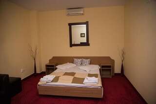 Отель Hotel Strelitia Тимишоара Двухместный номер с 1 кроватью или 2 отдельными кроватями-7