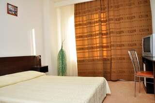 Отель Hotel Strelitia Тимишоара Двухместный номер с 1 кроватью или 2 отдельными кроватями-8