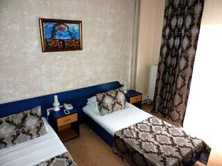 Отель Hotel Strelitia Тимишоара Двухместный номер с 1 кроватью или 2 отдельными кроватями-1