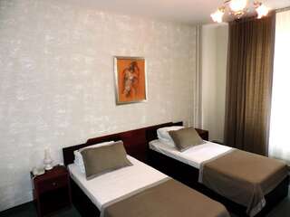 Отель Hotel Strelitia Тимишоара Двухместный номер с 1 кроватью или 2 отдельными кроватями-11
