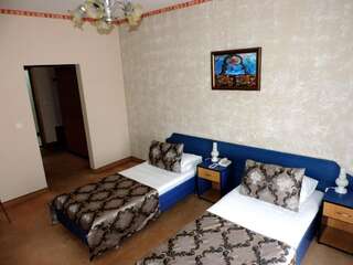 Отель Hotel Strelitia Тимишоара Двухместный номер с 1 кроватью или 2 отдельными кроватями-12