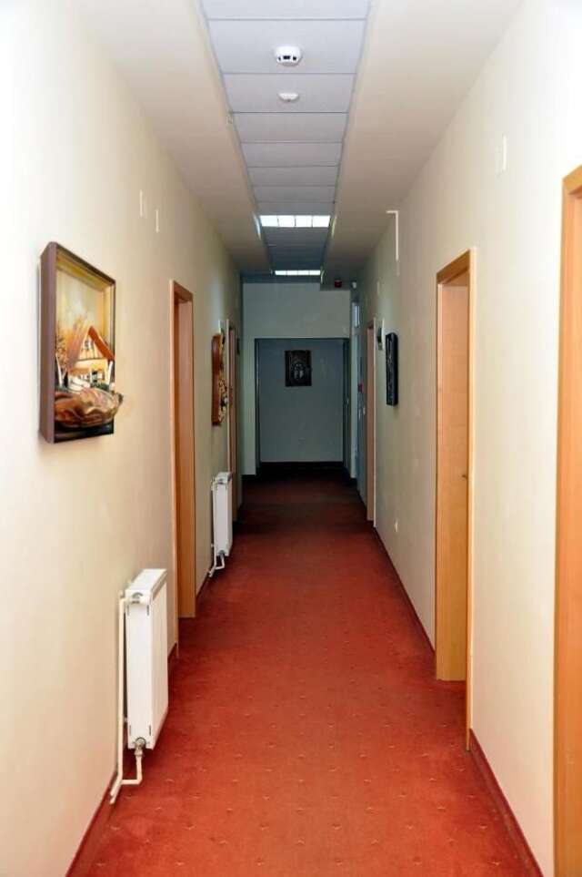 Отель Hotel Strelitia Тимишоара-25