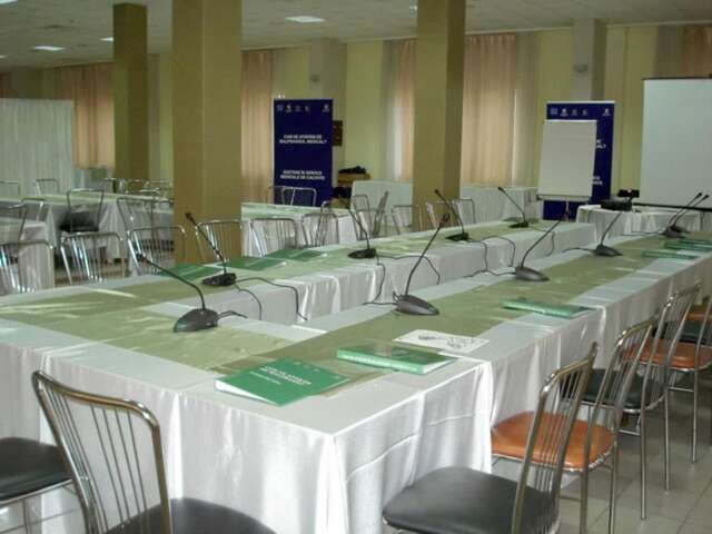 Отель Hotel Strelitia Тимишоара-31