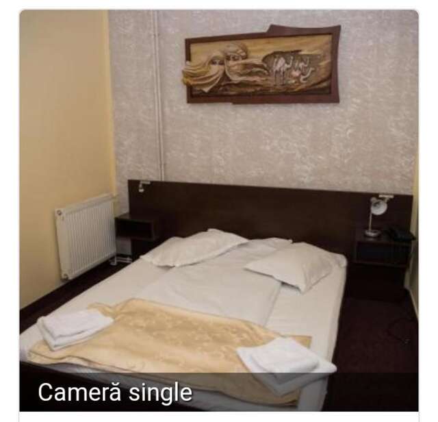 Отель Hotel Strelitia Тимишоара-5