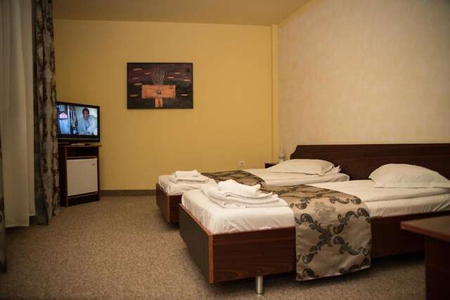 Отель Hotel Strelitia Тимишоара-38