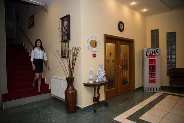 Отель Hotel Strelitia Тимишоара-45